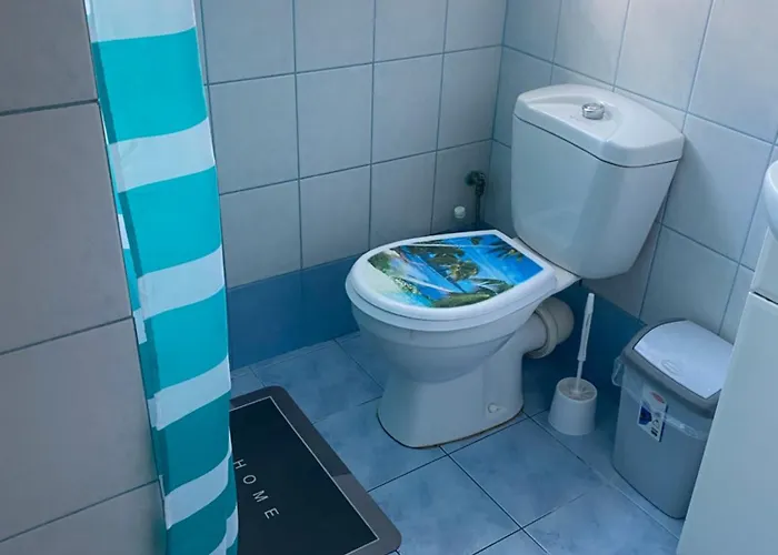 Проживание в семье Monika House